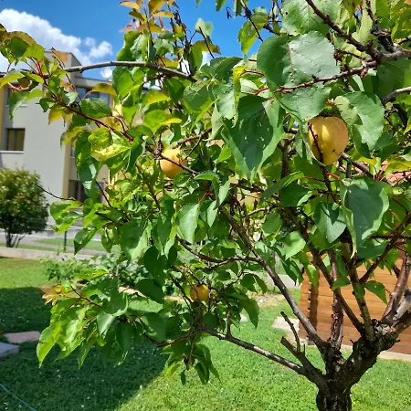 Griselda Alojamento de Acomodação e Pequeno-almoço