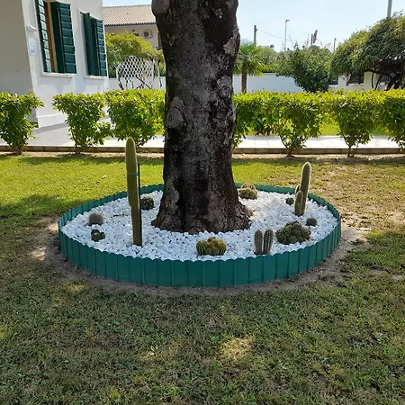 Alojamento de Acomodação e Pequeno-almoço Griselda 4*