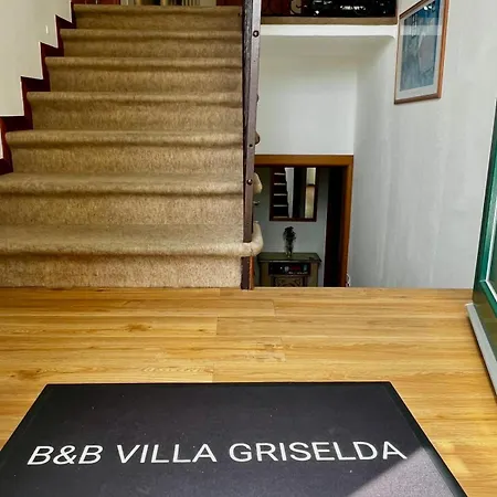 Griselda كوينتو دي تريفيزو